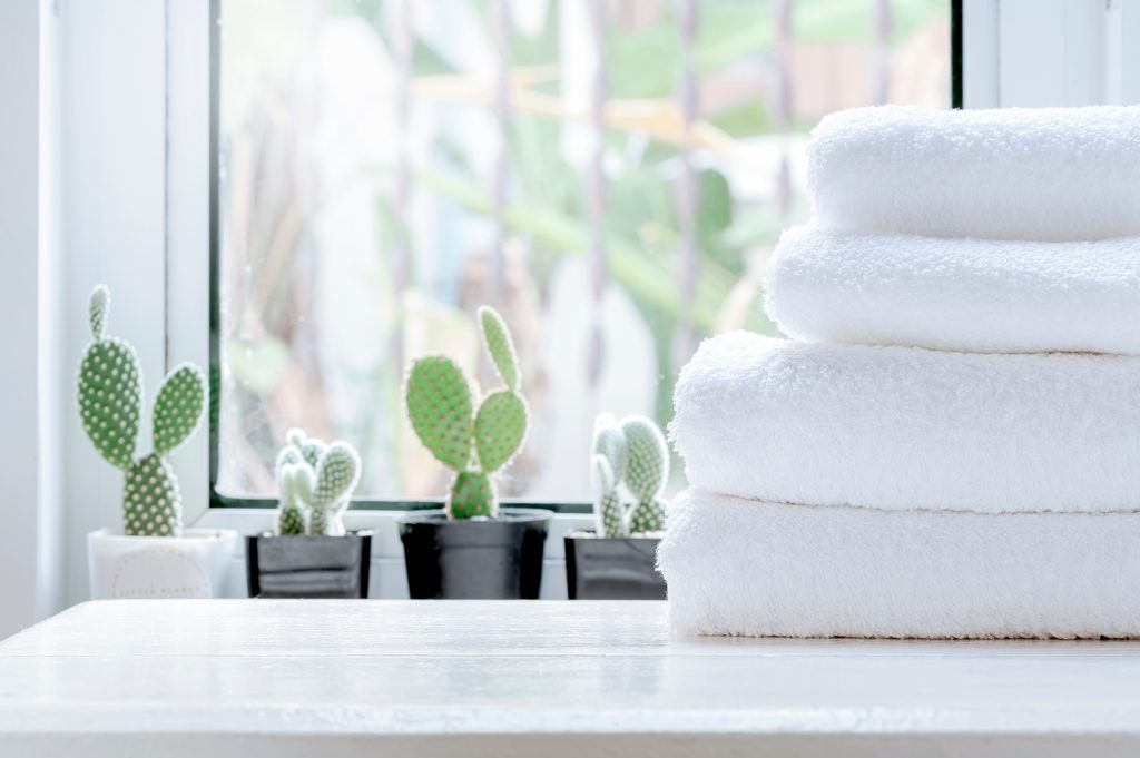 Laundry or Bathroom Cacti Decor on Window Sill