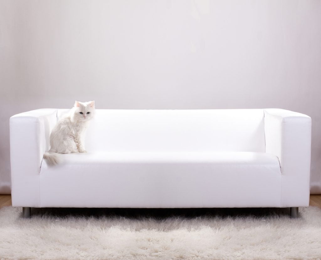 Pure Minimalist Snow-White Leather Couch Design